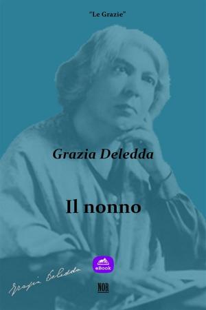 Book cover of Il nonno