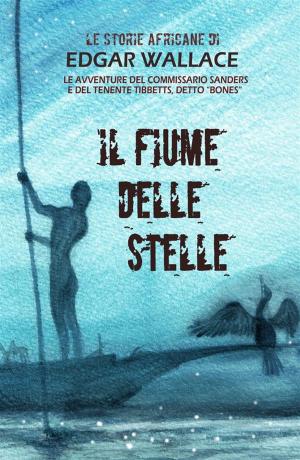 Book cover of Il fiume delle stelle