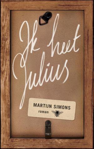Cover of the book Ik heet Julius by David van Reybrouck, Thomas D'Ansembourg
