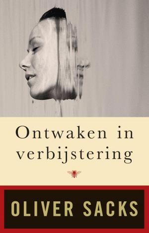 Cover of the book Ontwaken in verbijstering by Remco Campert
