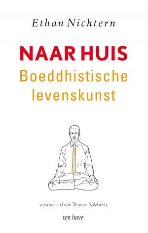 Cover of the book Naar huis by David Hewson