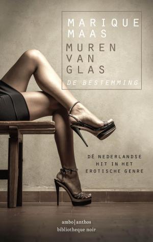 Book cover of De bestemming