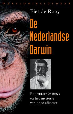Cover of the book De Nederlandse Darwin by Piet de Rooy