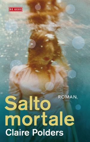 Cover of the book Salto mortale by Frits Boterman