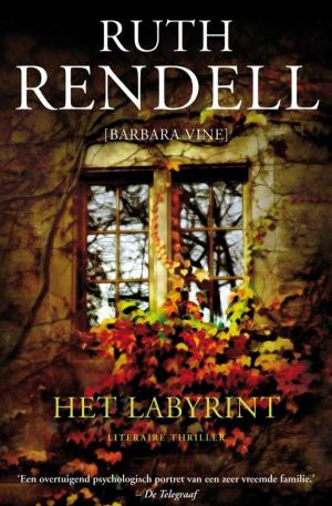 Cover of the book Het labyrint by Gérard de Villiers
