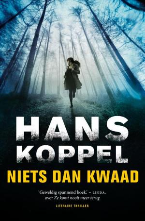 Cover of the book Niets dan kwaad by Andy McNab, Pieter Verhulst, Henk Popken, Gert Jan de Vries