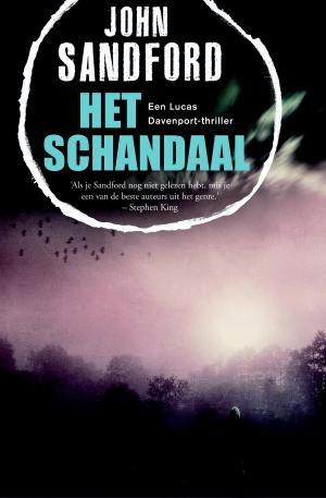 Cover of the book Het schandaal by Gérard de Villiers