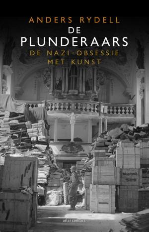 Cover of the book De plunderaars by Jaap Peters, Mathieu Weggeman