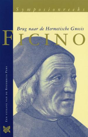 Cover of the book Ficino by Flor Estrella Hardwick