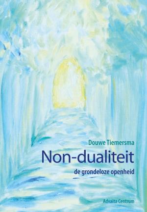 Cover of the book Non-dualiteit by Maarten Tengbergen