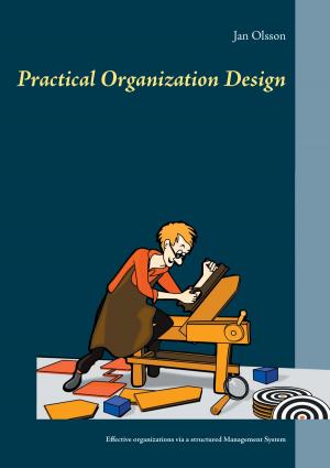 Cover of the book Practical Organization Design by Rolf Friedrich Schuett