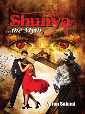 Book cover of Shunya