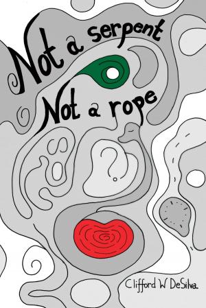 Cover of the book Not a Serpent, Not a Rope by Anadi