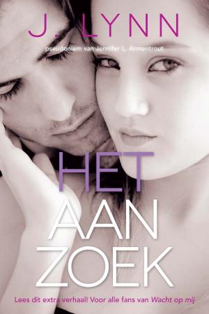 Cover of the book Het aanzoek by Julia Burgers-Drost