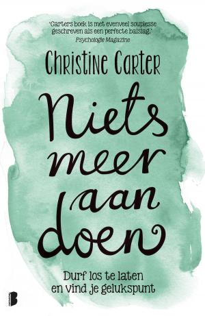 Cover of the book Niets meer aan doen by Audrey Carlan