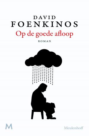 Book cover of Op de goede afloop