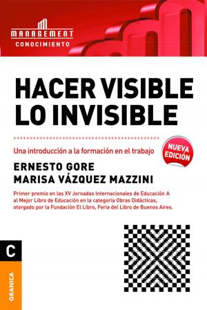 Cover of the book Hacer visible lo invisible by Damián Goldvarg