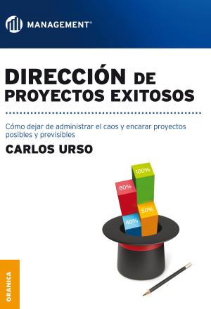 Cover of the book Dirección de proyectos exitosos by Carla Paparella, Silvina Gvirtz, Victoria Abregú