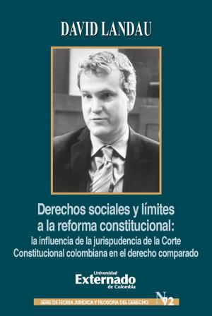 Book cover of Derechos sociales y límites a la reforma constitucional