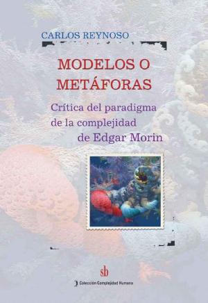 Cover of the book Modelos o metáforas by Enrique Cambón