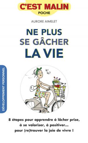 Cover of the book Ne plus se gâcher la vie, c'est malin by Jean-Michel Gurret