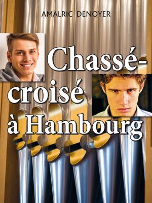 Book cover of Chassé-croisé à Hambourg