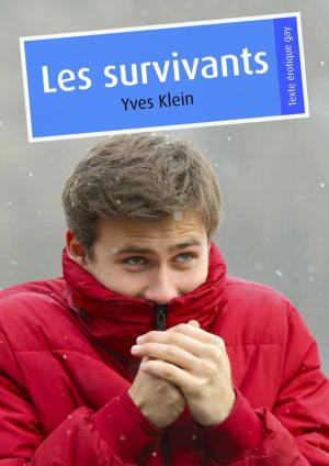 Cover of the book Les survivants by Christophe Fotsix