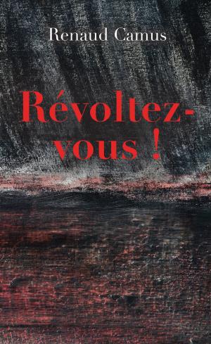 Book cover of Révoltez-vous !