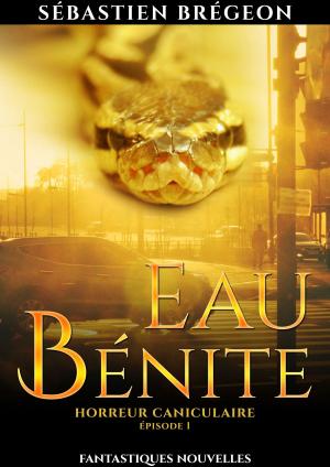 Cover of the book Eau bénite by Marc Olden