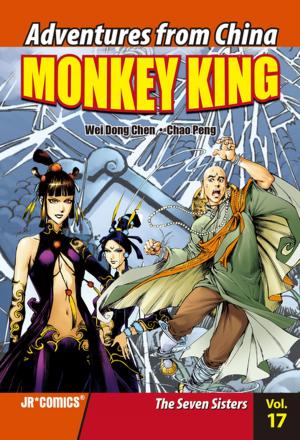 Book cover of Monkey King Volume 17