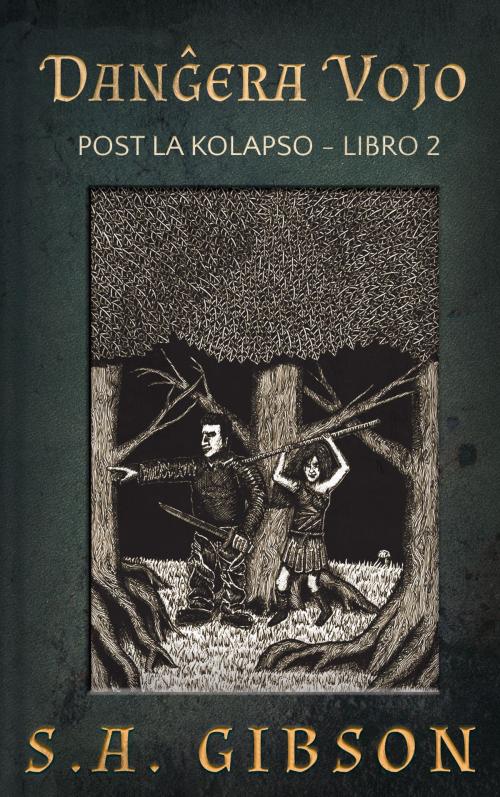 Cover of the book Danĝera Vojo by S. A. Gibson, S. A. Gibson