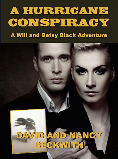 Cover of the book A Hurricane Conspiracy by David Beckwith, Nancy Beckwith, Absolutely Amazing Ebooks