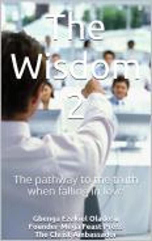 Cover of the book The Wisdom 2 by Gbenga Oladosu, Mega Feast Press