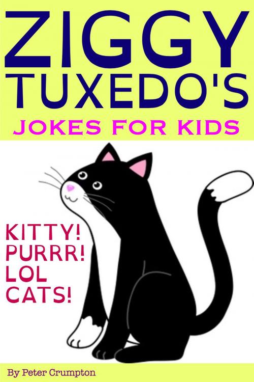 Cover of the book Ziggy Tuxedo's Kitty Jokes For Kids by Peter Crumpton, PeteyRF Creative