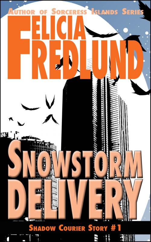 Cover of the book Snowstorm Delivery by Felicia Fredlund, Silver Pine Publishing