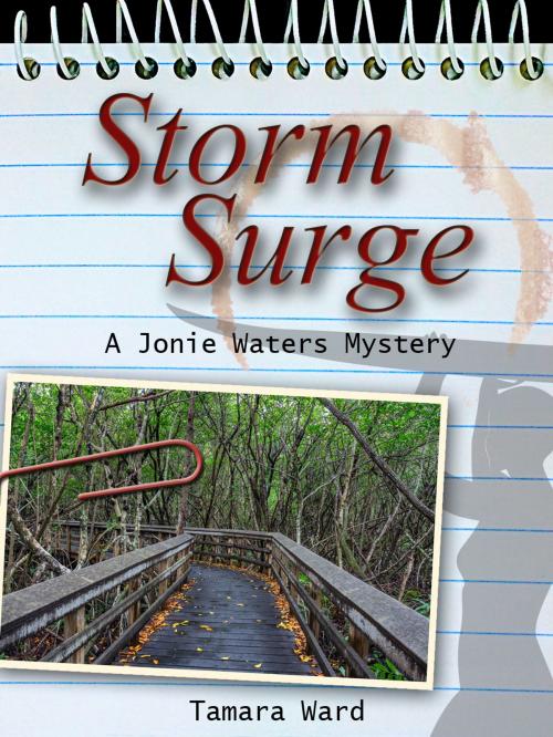 Cover of the book Storm Surge by Tamara Ward, Tamara Ward