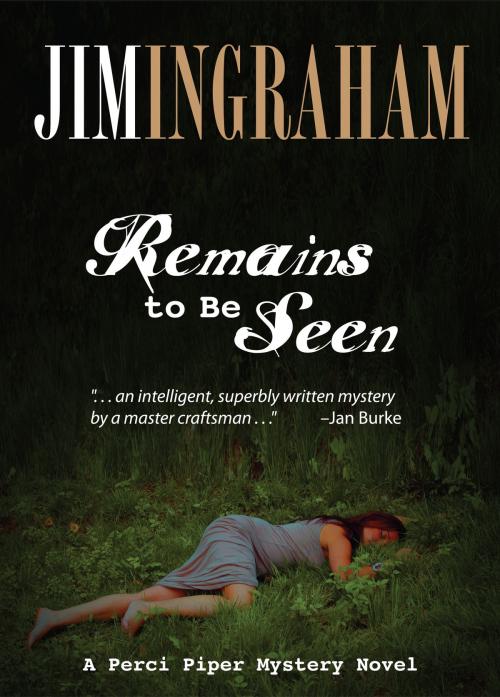 Cover of the book Remains to be Seen by Jim Ingraham, CascoBay Books