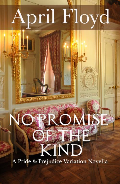 Cover of the book No Promise of the Kind by April Floyd, April Floyd