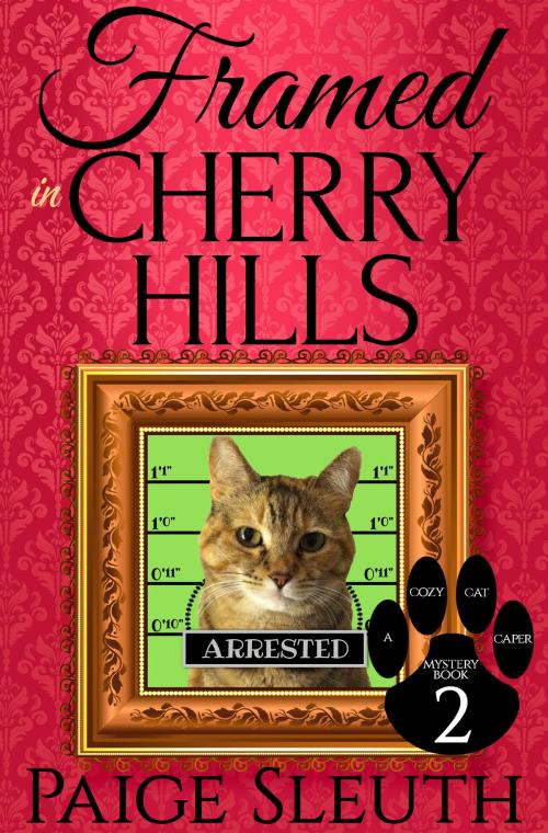 Cover of the book Framed in Cherry Hills by Paige Sleuth, Marla Bradeen