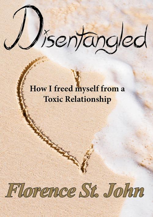 Cover of the book Disentangled by Florence St. John, La Maison Publishing, Inc.