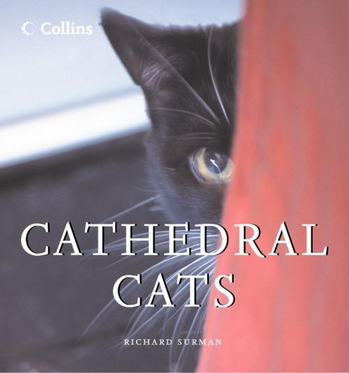 Cover of the book Cathedral Cats by Richard Surman, HarperCollins Publishers