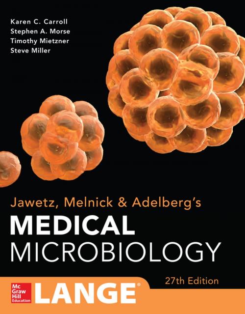 Cover of the book Jawetz Melnick & Adelbergs Medical Microbiology 27 E by Karen C. Carroll, Janet S. Butel, Stephen A. Morse, McGraw-Hill Education