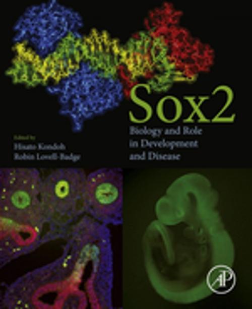 Cover of the book Sox2 by , Elsevier Science