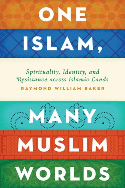 Cover of the book One Islam, Many Muslim Worlds by Raymond William Baker, Oxford University Press