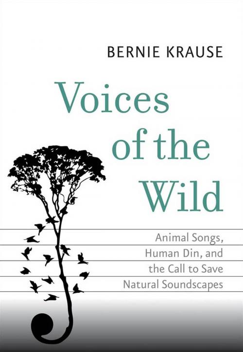 Cover of the book Voices of the Wild by Bernie Krause, Yale University Press