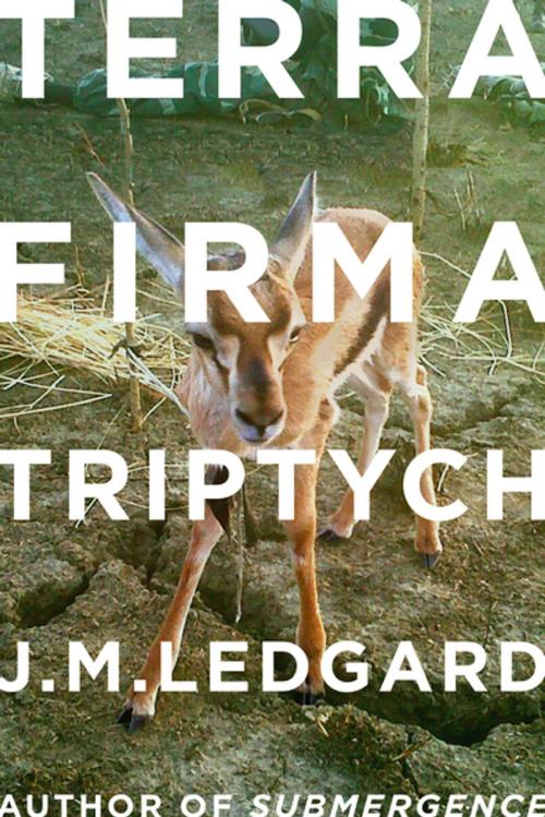 Cover of the book Terra Firma Triptych by J. M. Ledgard, Farrar, Straus and Giroux