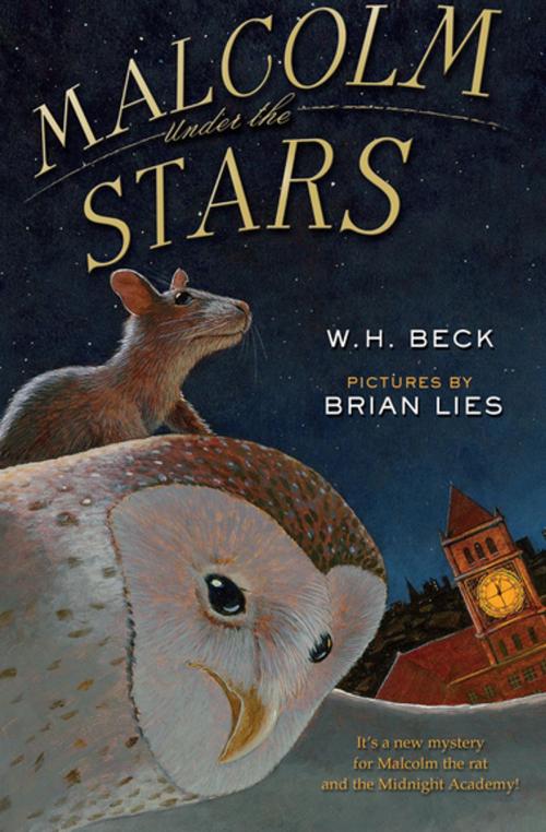 Cover of the book Malcolm Under the Stars by W.H. Beck, Houghton Mifflin Harcourt