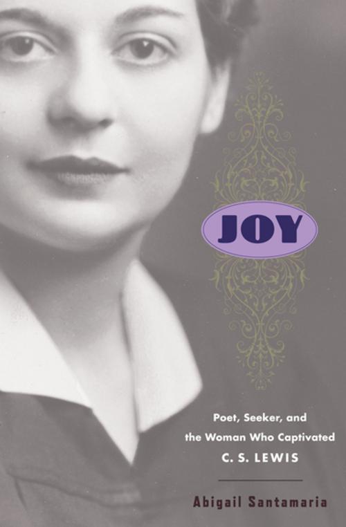 Cover of the book Joy by Abigail Santamaria, Houghton Mifflin Harcourt