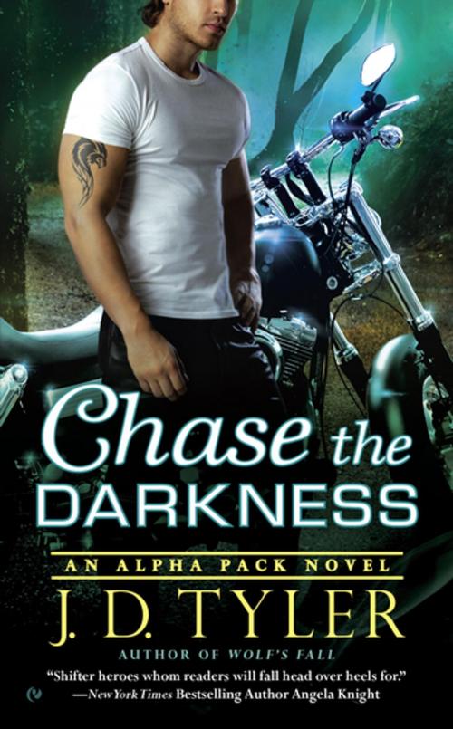 Cover of the book Chase the Darkness by J.D. Tyler, Penguin Publishing Group