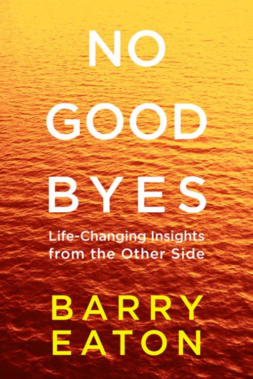 Cover of the book No Goodbyes by Barry Eaton, Penguin Publishing Group